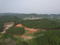 柳州市鹿寨县导江乡龙坪矿区建筑石料用灰岩矿首采区硅质岩招标