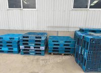 河北唐山出售二手雪花啤酒二手塑料托盘