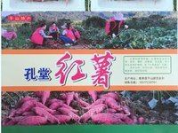 柳州市鹿寨县平山镇孔堂村盒装西瓜红红薯转让项目