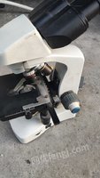 5月26日安【281】废旧设备淘汰处置电光源显微镜一台处理招标