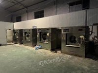 上海百 强4台水洗机、3台烘干机、4辊烫平机折叠机一套出售