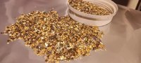 5月11日【1-64】报废处置镀金金颗粒废料500克（具体含量以实物为准）处理招标