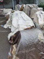 05月09日09:00普冷废次材-切边余料(100吨)柳州宝钢汽车钢材处置
