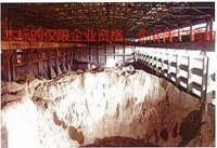 5月14日原富春江环保热电厂区内淤沙料资源拍卖公告