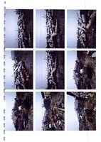 1119AꖼFɽwS²؟ι˾UfYUf偠tu