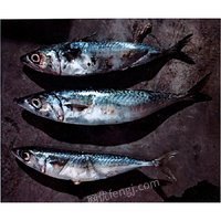 1112աһġO@؛һK~~~~ȹ12N9.5265u