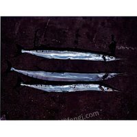 1112աһġO@؛һK~~~~ȹ12N9.5265u