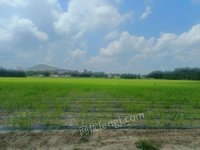 12��28��λ�����ɹŽ�ũҵ��չ���޹�˾�������ࣨ����˹��֣�[�����ã�2016���ֵ�000201��]����ʹ��Ȩ��������