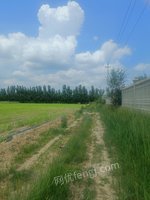 12��28��λ�����ɹŽ�ũҵ��չ���޹�˾�������ࣨ����˹��֣�[�����ã�2016���ֵ�000201��]����ʹ��Ȩ��������