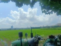 12��28��λ�����ɹŽ�ũҵ��չ���޹�˾�������ࣨ����˹��֣�[�����ã�2016���ֵ�000201��]����ʹ��Ȩ��������