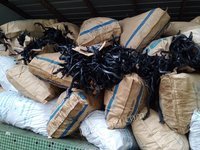 12��8��EVA�ܽ��߽�����������