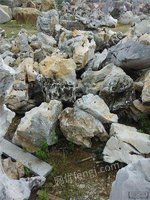 低价销售太湖石，销售园林太湖石，销售假山太湖石，销售绿化太湖石，销售天然太湖石，