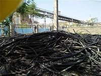 浙江回收铜铝电缆线