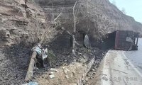 200fƽPETyD(zhun)Ĥ