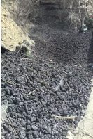 200fƽPETyD(zhun)Ĥ