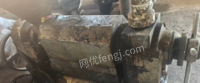 广东广州青江130螺旋榨油机出售