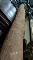 517վе6081I(y)(k)̎ƷƤһu(mi)