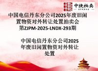 626Їŵ|ֹ˾2025UfeYD(zhun)׌̎  ZJPM-2025-LNDX-293u