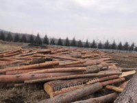 626ջʾֈľu