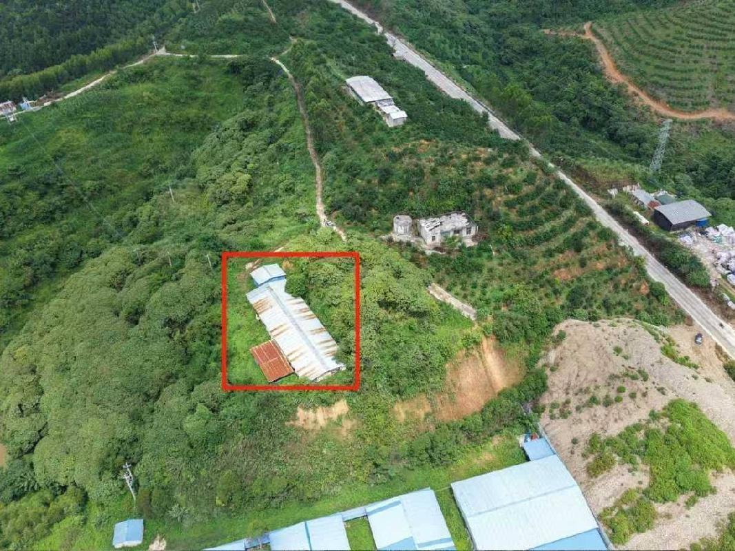 河池市大化瑶族自治县大化镇坡了社区养鸡场地上附着物转让项目招标