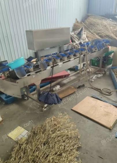 云南红河水果清洗机＋风干机整套出售