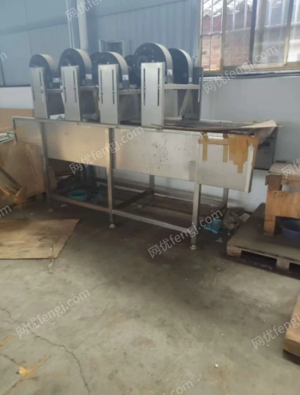 云南红河水果清洗机＋风干机整套出售