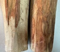 2��2�ա�F1582����λ�췿����̎�ú����S���滢Ƥ�y���ۘ��^ľ��һ�����ɴ�أ��ǌ��I(y��)��ʿՈ֔(j��n)�����ģ����u