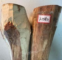 2��2�ա�F1582����λ�췿����̎�ú����S���滢Ƥ�y���ۘ��^ľ��һ�����ɴ�أ��ǌ��I(y��)��ʿՈ֔(j��n)�����ģ����u