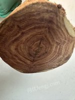 2��2�ա�F1582����λ�췿����̎�ú����S���滢Ƥ�y���ۘ��^ľ��һ�����ɴ�أ��ǌ��I(y��)��ʿՈ֔(j��n)�����ģ����u