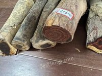 2��2�ա�F1929����λ�췿����̎�ú����S�������ľ��һ�����ǌ��I��ʿՈ֔�����ģ����u