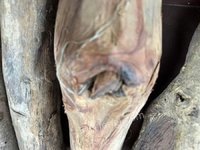 2��2�ա�F1929����λ�췿����̎�ú����S�������ľ��һ�����ǌ��I��ʿՈ֔�����ģ����u