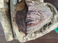 2��2�ա�F1929����λ�췿����̎�ú����S�������ľ��һ�����ǌ��I��ʿՈ֔�����ģ����u