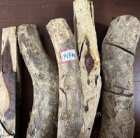 2��2�ա�F1931����λ�췿����̎�ú����S�������ľ��һ�����ǌ��I��ʿՈ֔�����ģ����u