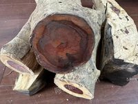 2��2�ա�F1931����λ�췿����̎�ú����S�������ľ��һ�����ǌ��I��ʿՈ֔�����ģ����u