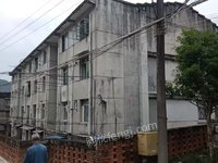 双螺杆挤出机65机线体招标公告