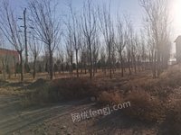 2��9�գ��ƣ�������������ʳƷ���޹�˾�Ʋ��ʲ�����