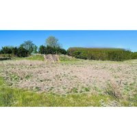 3��15�ա���4��������������ʯ�߶�����ֲ����޹�˾�Ʋ��Ʋ�����Ҫ��������ʹ��Ȩ�����ݽ�������̶��ʲ����豸��̶��ʲ�������