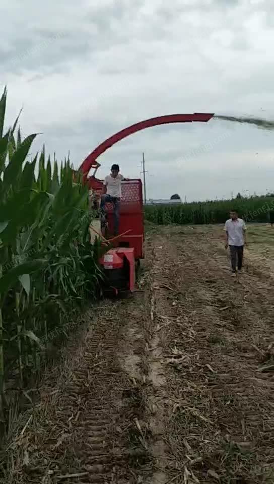 青储机秸秆稻草青储机 视频