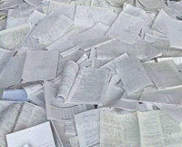 张宝（个体经营）收购部出售废书本文件纸20吨/月