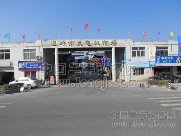 温岭市发电机市场