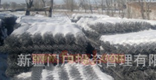 Selling bolt anchor network