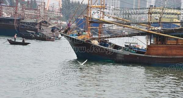  安康港-陕西安康港口