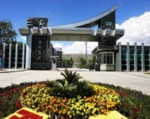 西北地区钢铁企业集群产业集中度