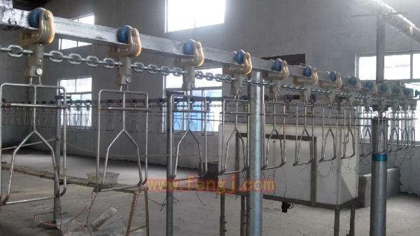 二手屠宰设备出售