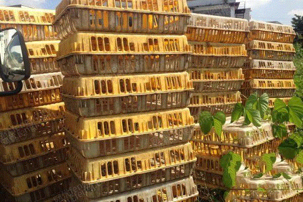 因转行出售二手双马牌鸡笼有200多个
