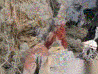 工程废塑料出售