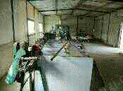 二手屠宰设备出售