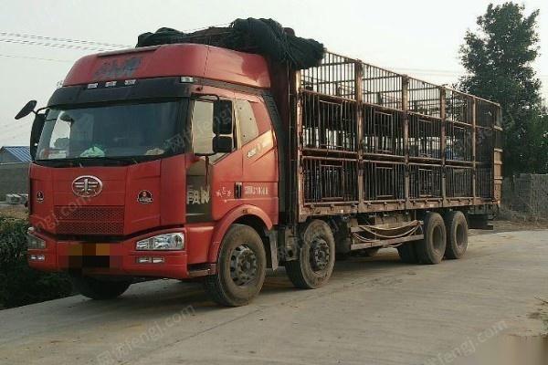 解放j6前四后八拉猪车