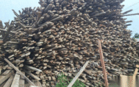 大量回收工地废旧木材，木方、多层板等