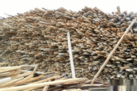 高价大量回收工地废旧木方、多层板